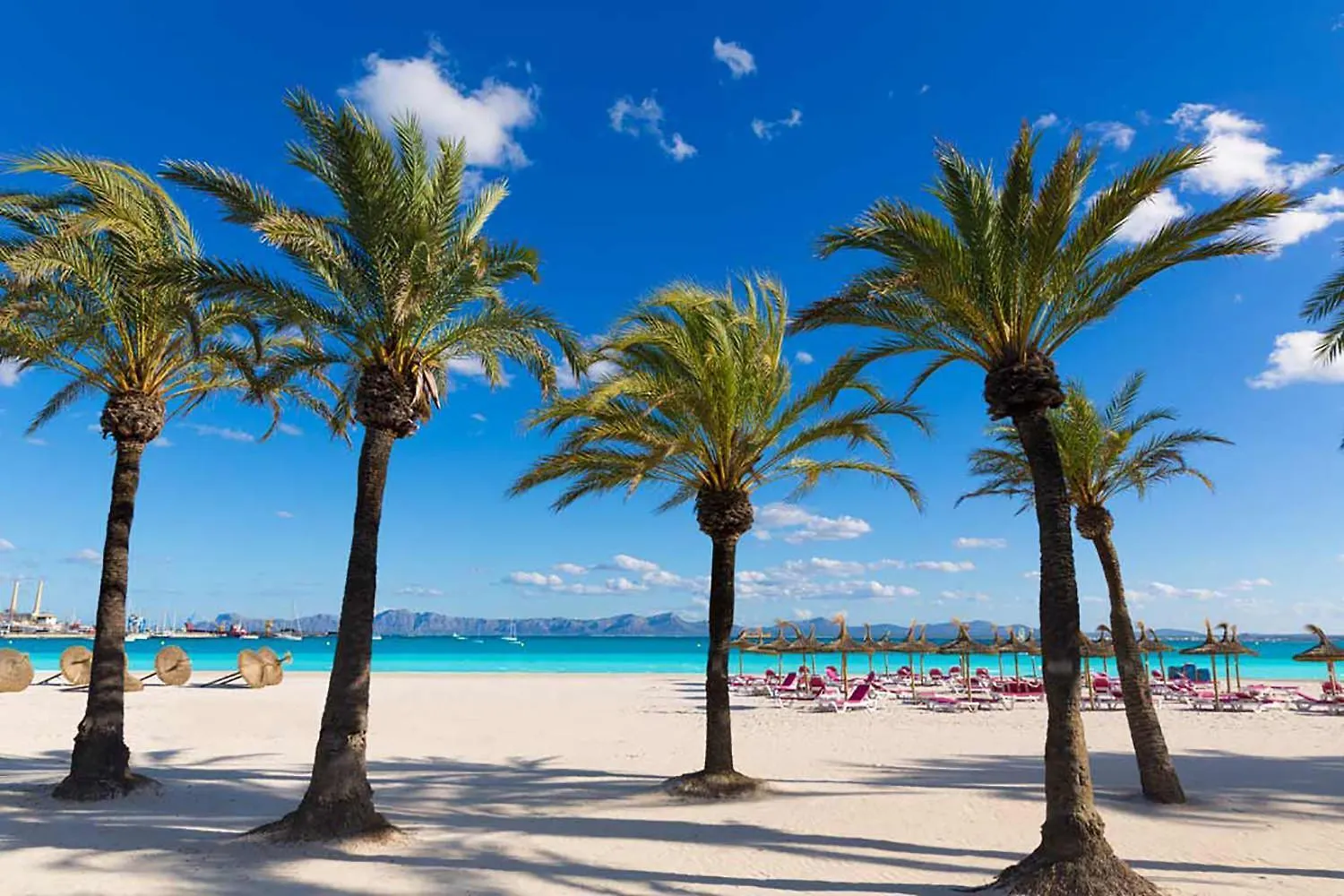 Apartment Xara New At The Beach For 6 By Bebreeze Alcudia